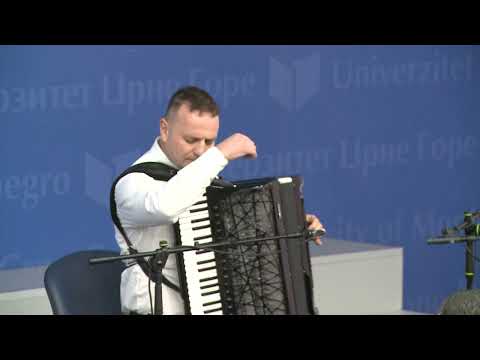 Mr Predrag Janković A  Vivaldi, Četiri godišnja doba I stav Allegro non molto