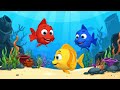 El Tiburón Juguetón Fiesta De Peces De Colores Canción Infantil