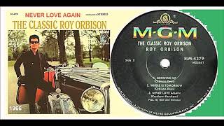 Roy Orbison - Never Love Again &#39;Vinyl&#39;