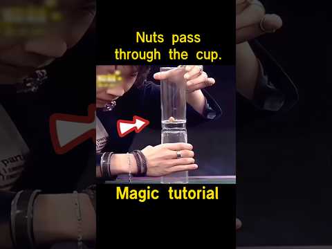 Nuts through the cup, magic tutorial! #magicteaching #magic
