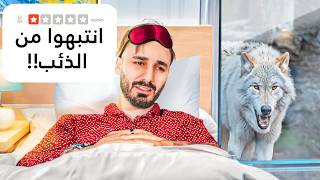 جربت اغرب فنادق العالم حيوان في الغرفة