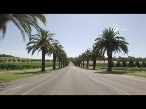 Thumbnail for Prancing Horse Supercar Drive Day Experience - Adelaide Hills and Barossa Valley, South Australia by Prancing Horse