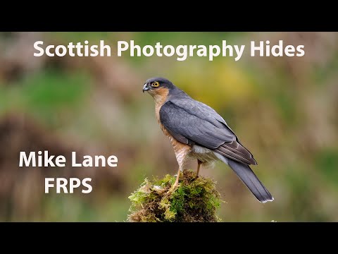 Scottish Photography Hides near Dumfries