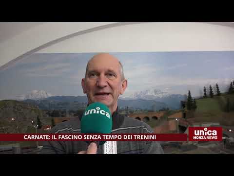 Carnate, trenini in mostra