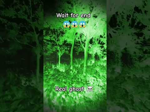 amazing video #viralvideo #scary #hauntedsounds #creepy #creepysound #eeriesounds
