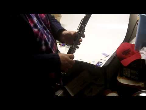 Selmer Signature Special Clarinet