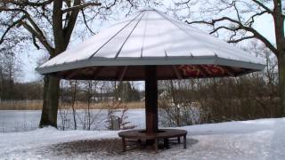 preview picture of video 'Wetterpilz an den Fischteichen (Paderborn) im Winter'