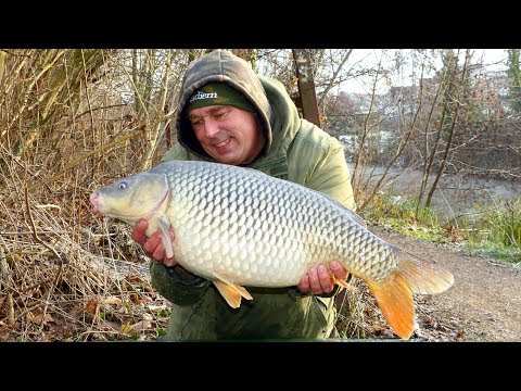 Karpfenangeln - VTB 56 - Im Januar am kleinen Fluss