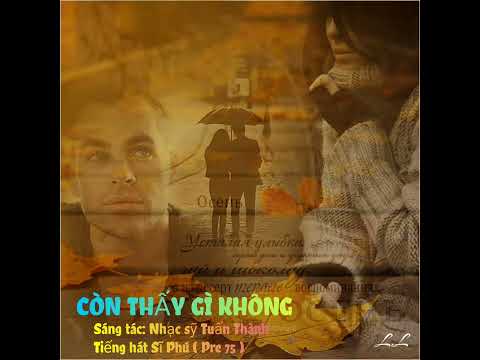 Còn thấy gì không - Sĩ Phú