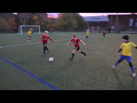 NuPS - Sibbo Vargarna (4.10.2022 Latokartano)