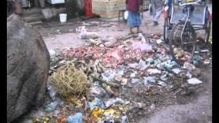 If I don't see you again