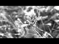 Mike Bliss- Through Valleys
