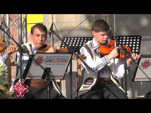 Ansamblul Profesionist Dragan Muntean - suită