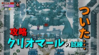 【ローグヒーローズ】第４砦クリオマールの試練に挑戦！ボマー/死神【ゲーム実況】Switch版 Rogue Heroes テイソスの遺跡 攻略