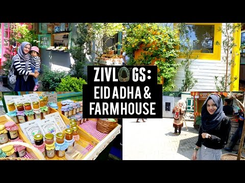 Zivlogs: Eid Adha & Farm House | ZiTV