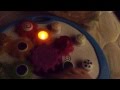 Tomy PlayKool TOY