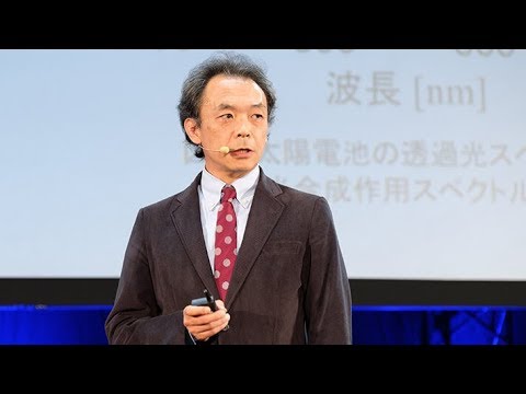 食料産業学科 光合成から学ぶ未来の太陽エネルギー技術／公立諏訪東京理科大学 渡邊 康之 先生【夢ナビTALK】