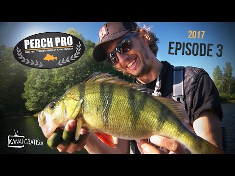 Perch Pro 2017 - EPISODE 3 - Kanalgratis.se (with German, French & Dutch subtitles)
