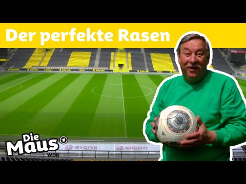 Wie pflegt man einen Fußballrasen? | DieMaus | WDR