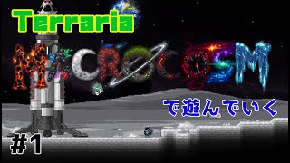 【Terraria】テラリアの新しいMODで遊んでいく