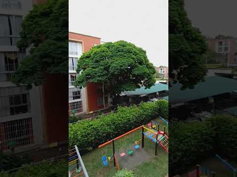 Apartamentos, Venta, Pacará - $230.000.000