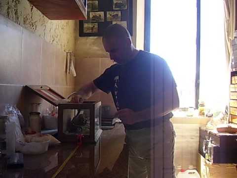 Manejo de falsa crucera