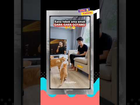 Detik-detik si Oyen ditabok Emak 😂