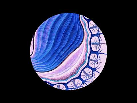 Alejandro Mosso - Miracle