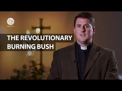 The Revolutionary Burning Bush | Fr Liam Bradley |  Luminous