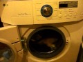 Cat In Washing Machine