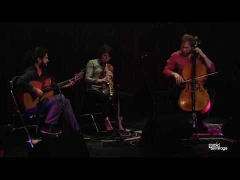 7 Aneis (Egberto Gismonti) TRIO IN UNO