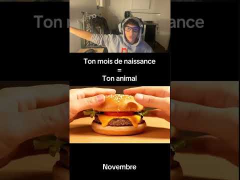 Ton mois de naissance c'est ton animal !  #divertissement #react #drôle #humour