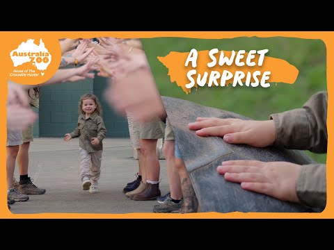 Grace's Afternoon at Australia Zoo | Irwin Family Adventures