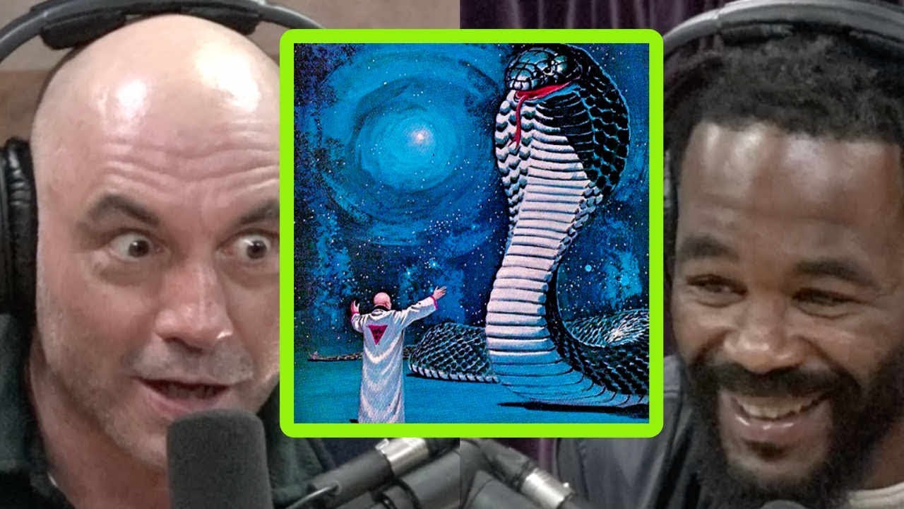 Joe Rogan and Rashad Evans Compare DMT Experiences