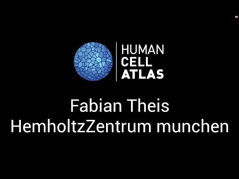 Fabian Theis at the Human Cell Atlas Computational Methods meeting - Stockholm, 1-2 June 2017