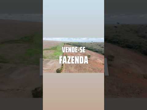 460 Hectares à Venda em Cristalina Goiás