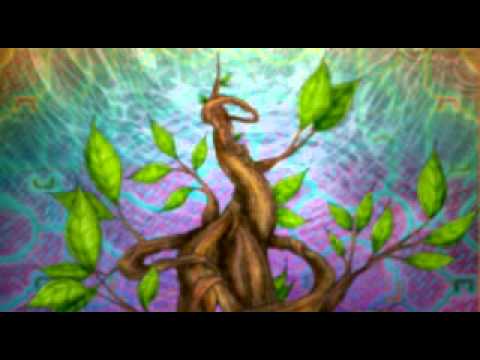 1149 Icaro - Curandero III