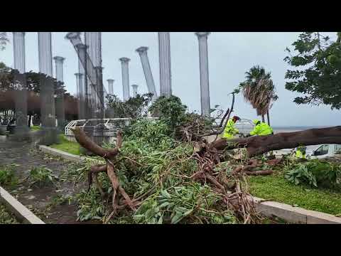 Maltempo a Reggio Calabria: le immagini dei danni causati dal forte vento che ha colpito la città