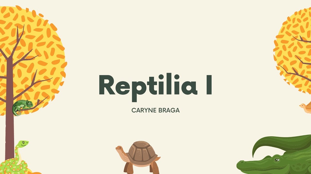 Reptilia I: répteis viventes não-aves