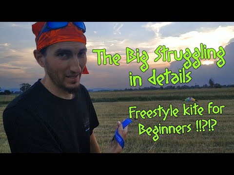 HQ-Maestro 3 - Please don't ask me if I recommend this kite...