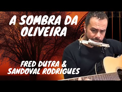 A Sombra Da Oliveira - Sandoval Barbosa Rodrigues
