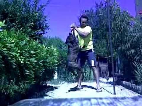 Power is Nothing Without Control - La potenza e' niente senza controllo