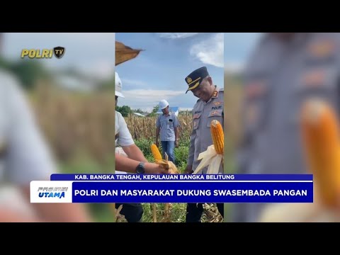 KOMITMEN POLRES BANGKA TENGAH PANEN JAGUNG BERSAMA, DUKUNG PROGRAM KETAHANAN PANGAN