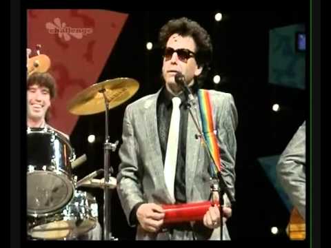 The Rockin Berries Medley