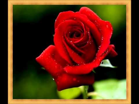 Videoclip de Baby, Meu Bem (Versão remasterizada) — Roberto Carlos