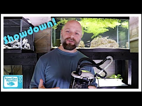 Fish Tank Filter Showdown: Hang on Back Filter vs Canister Filter!