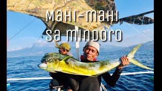 preview picture of video 'FISHING @ ABRA DE ILOG (PART 2) DORADO OR DOLPHIN FISH !!'