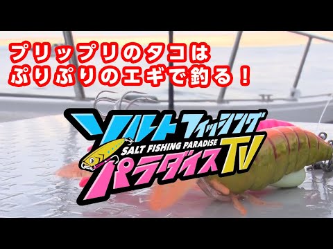 プリップリのタコはぷりぷりのエギで釣る！（ソルパラTV・第43回2021年7月22日放送）