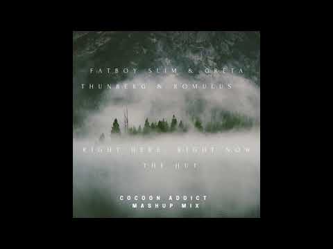 Fatboy Slim & Greta Thunberg & Romulus - Right Here, Right Now /the hut  (Cocoon Addict mashup mix)