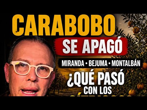 De potencia agrícola a abandono total: lo que pasó en Miranda, Bejuma y Montalbán